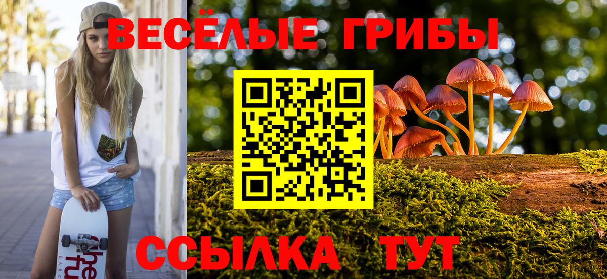 Галлюциногенные грибы ЛСД Реутов