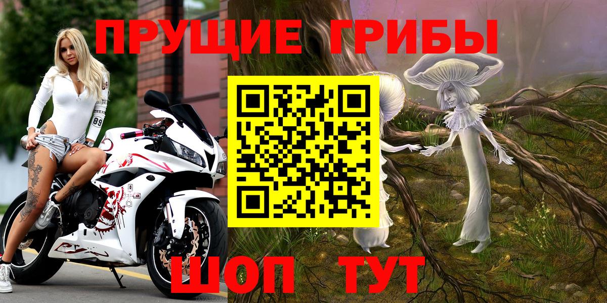 Реутов  Псилоцибиновые грибы мухоморы  Вход с VPN  Псилоцибиновые грибы Psilocybe 